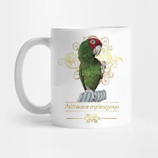 Red-masked Parakeet Mug